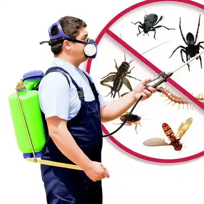 pest control Livonia